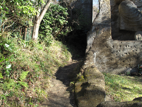 20180110hike (126)